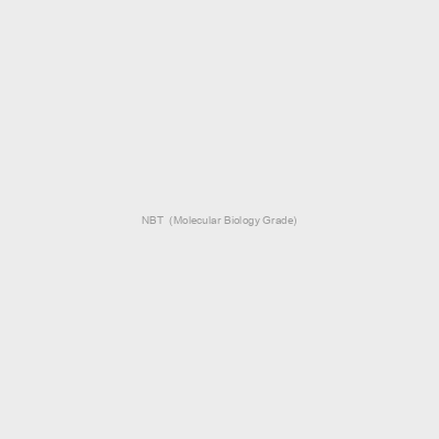 NBT  (Molecular Biology Grade)
